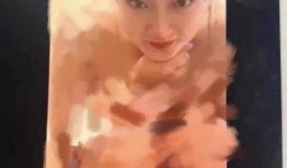 张隆前妻爆料原图视频,揭秘婚姻背后的真相